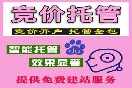 竞价推广的投放时机与频率：经典案例教学